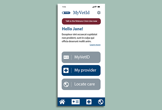 myvetid creative brief